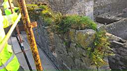 acastle
                          106325.jpg